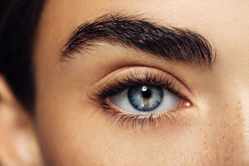 RefectoCil Eyelash and Eyebrow Tint - No. 1 Pure Black