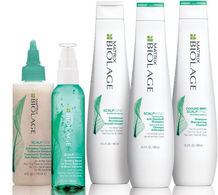 Matrix Biolage Scalpsync Anti-Dandruff Shampoo 400ml